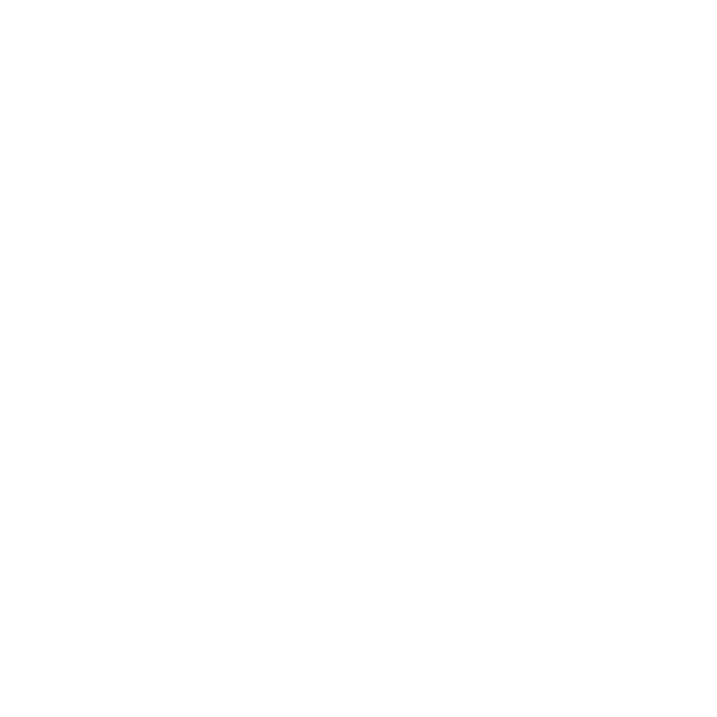 Enzorgit